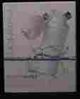 874630000415 Jonathan Beauty Water Shower Purification