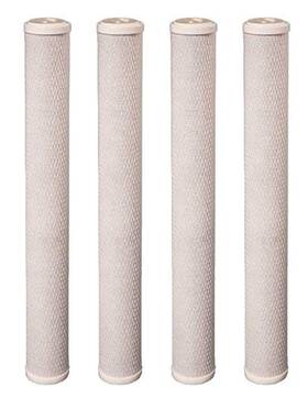 C1-20 Cfs 045399078742 4 Pack Carbon Block Water Filters Cartridge Compatible With