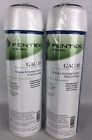 Gac-10 Gac10 Pentair Pentek Water Granular Activated Carbon Filter Cartridge
