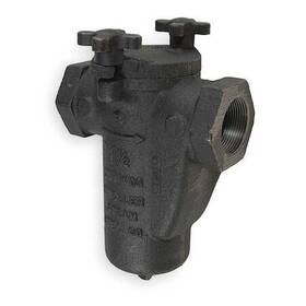 Mueller Steam Specialty 098268354386 3/4 125 Ci Iron Body Screwed Inch Fnpt X Cast