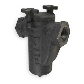 Mueller Steam Specialty 098268354423 2 125 Ci Iron Body Screwed Inch Fnpt X Cast