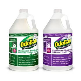 Bnd01761 Odoban Professional Disinfectant And Odor 128 Fl Oz Pack Of 2 Clear