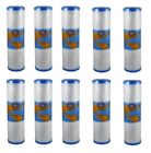 Omb934-10m-p3860 Omnipure Pack Micron Inch Carbon Block Filter
