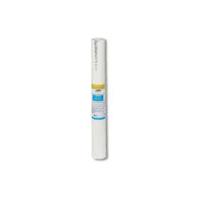 560085 Watts Premier Replacement Water Filter