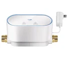 Grohe 22503LN0 Sense Guard Smart Water Controller White Brand New. Fixed Price $89.99.