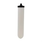Doulton W9123053 9501 Ultracarb Ceramic Filter Candle Cartridge, 10 In, Single. Fixed Price $41.95.