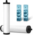 FRC06 2 Pack Ceramic Water Filter Cartridge, Kitchen Sink For Franke Frcns. Fixed Price $36.99.