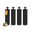 Nispira Water Filter For Black Element BB9-2 Travel Filtration, 4 Pks. Fixed Price $70.99.