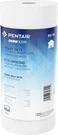Pentair Omnifilter RS18 Sediment Water Filter, Count (pack Of 1), White. Fixed Price $17.01.