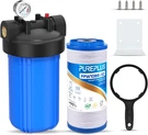 Whole House Water Filter For Well - Reduces Iron & Manganese, 10"X4.5. Fixed Price $128.99.