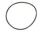 Everpure O-ring BUNA-N#241 Std Upc Bulk Genuine Oem EVE151120. Fixed Price $6.95.