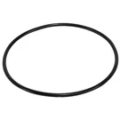 Pentair Pentek 151122 O-ring,. Fixed Price $7.85.