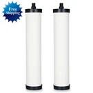 2PK Cartridge For Franke FRCNSTR/FRC06 And FRCNSTR100/FRC06FRC06 Filters. Fixed Price $48.99.