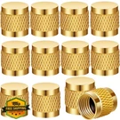 Lizenoz 10 Pcs 1/4 Flare Cap Brass Neoprene O-ring. Fixed Price $20.00.