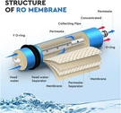 Universal 50GPD Nsf Membrane For Water Filtration Systems, Ecosoft. Fixed Price $72.45.