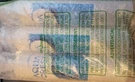 Aquacrest Replacement Refrigerator Water Filter Aqf LT600P New Set Of 3. Fixed Price $24.99.