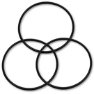 OR-250 O-ring (3 Pack) Culligan WH-HD200-C 3M 3WH-HD-S01 AP801B/T WFAO100 HF45. Fixed Price $14.99.