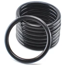 (8 Pack) O-ring For Fleck 13305 And Rainsoft 17961 Compatible With 2510, 5600,. Fixed Price $20.99.