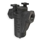 Mueller Steam Specialty 125 Iron Body Screwed Basket Strainer, 2" Pipe,. Fixed Price $913.99.