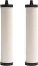 FRC06-2PK Undersink Water Filtration Filter For Frcnstr, Chlorine, 2-PACK. Fixed Price $215.99.