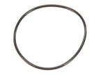 Everpure O-ring BUNA-N#241 Std Upc Bulk 151120 Genuine Oem Replacement Part. Fixed Price $14.98.