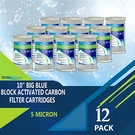 12 Pcs Big Blue Cto Carbon Block Water Filters 4.5" X 10" Whole House Cartridges. Fixed Price $129.99.