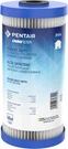 Pentair Omnifilter RS6 Sediment Water Filter, Count (pack Of 1), White. Fixed Price $35.36.