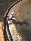 M85485/12-22T3 Filter Line Cable Conductor Shielded Mil-spec Wire Cut Length. Fixed Price $31.99.