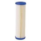 Pentair Pentek 255483-75 Pleated Filter Cartridge, 10 Gpm, 20 Micron, 2-7/8". Fixed Price $7.85.