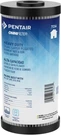 Pentair Omnifilter TO6 Carbon Water Filter, 10-INCH, Whole House Heavy Duty Big. Fixed Price $37.18.