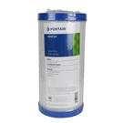 Pentair Epm-bb Carbon Block Filter Micron 4.5" X 10" 155782-43. Fixed Price $59.99.