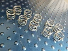 North Star 7301520 For Automatic Sediment Filter EP-ASF-1 10 Springs. Fixed Price $5.00.