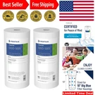Pack Of 2 DGD-5005 Big Blue 10" Micron Filters Pure, Long-lasting Protection. Fixed Price $74.09.