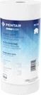Pentair RS18 Sediment Water Filter, 10-INCH, Whole House Heavy Duty Big Blue Sp. Fixed Price $20.99.