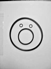 Pentair Whisperflo Xf Pump O-ring Kit / R&s 112-438PW Fda NSF61 Mat.. Fixed Price $18.50.