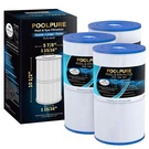 Poolpure C-6430 Spa Filter Replaces 31489, PWK30, Filbur FC-3915 Pack. Fixed Price $52.24.