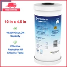 Pentair Omnifilter TO8 Carbon Water Filter, 10" Heavy Duty Big Blue Whole House. Fixed Price $55.49.