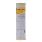 Pentek ECP5-10 Micron Standard Inch Pleated Undersink Sediment Water Filte. Fixed Price $15.97.