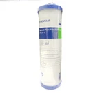 Pentair Pentek DFX-CB-10 Dual Purpose Sediment / Carbon Filter 655130-43 Mc. Fixed Price $15.00.