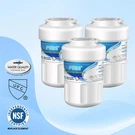 Compatible With RWF1060 CLCH102 WSG-1 EFF-6013A Aqf-mwf Water Filter Pack. Fixed Price $28.49.